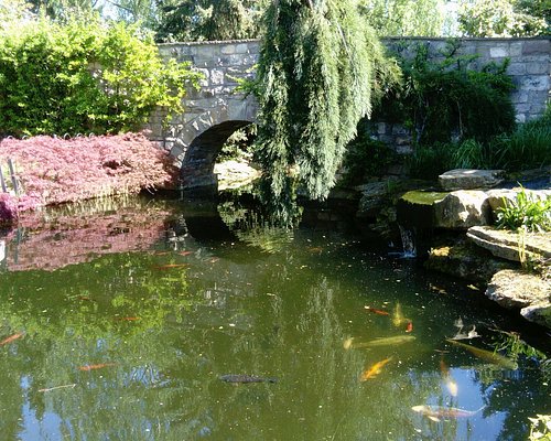 Walker's Nurseries and Garden Centre