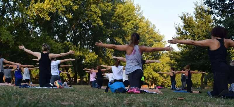 Outdoor yoga and wellness retreat session at Willow Garth with participants in woodland setting