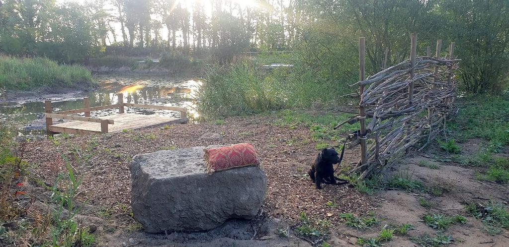 Peaceful lakeside setting at Willow Garth with natural stone seating, rustic shelter, and woodland backdrop at sunset